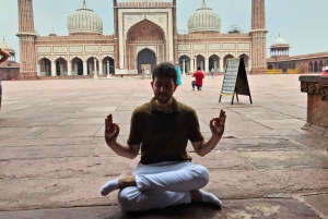 Delhi: Opastettu kierros vanhassa ja uudessa Delhissä, katukeittiön ruokia ja mausteita