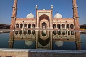 Delhi: privat byrundtur i det gamle og nye Delhi på en halv eller hel dag