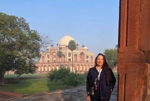 Delhi: privat byrundtur i det gamle og nye Delhi på en halv eller hel dag