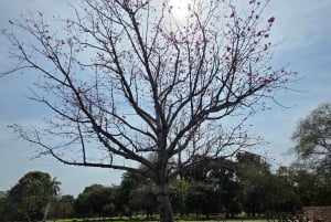 Delhi: privat byrundtur i det gamle og nye Delhi på en halv eller hel dag