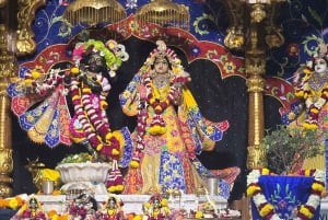 Delhi: privat byrundtur i det gamle og nye Delhi på en halv eller hel dag