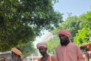 Delhi: privat byrundtur i det gamle og nye Delhi på en halv eller hel dag