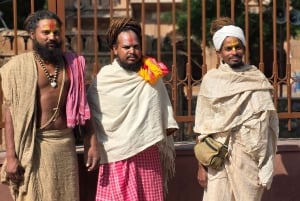 Delhi: privat byrundtur i det gamle og nye Delhi på en halv eller hel dag