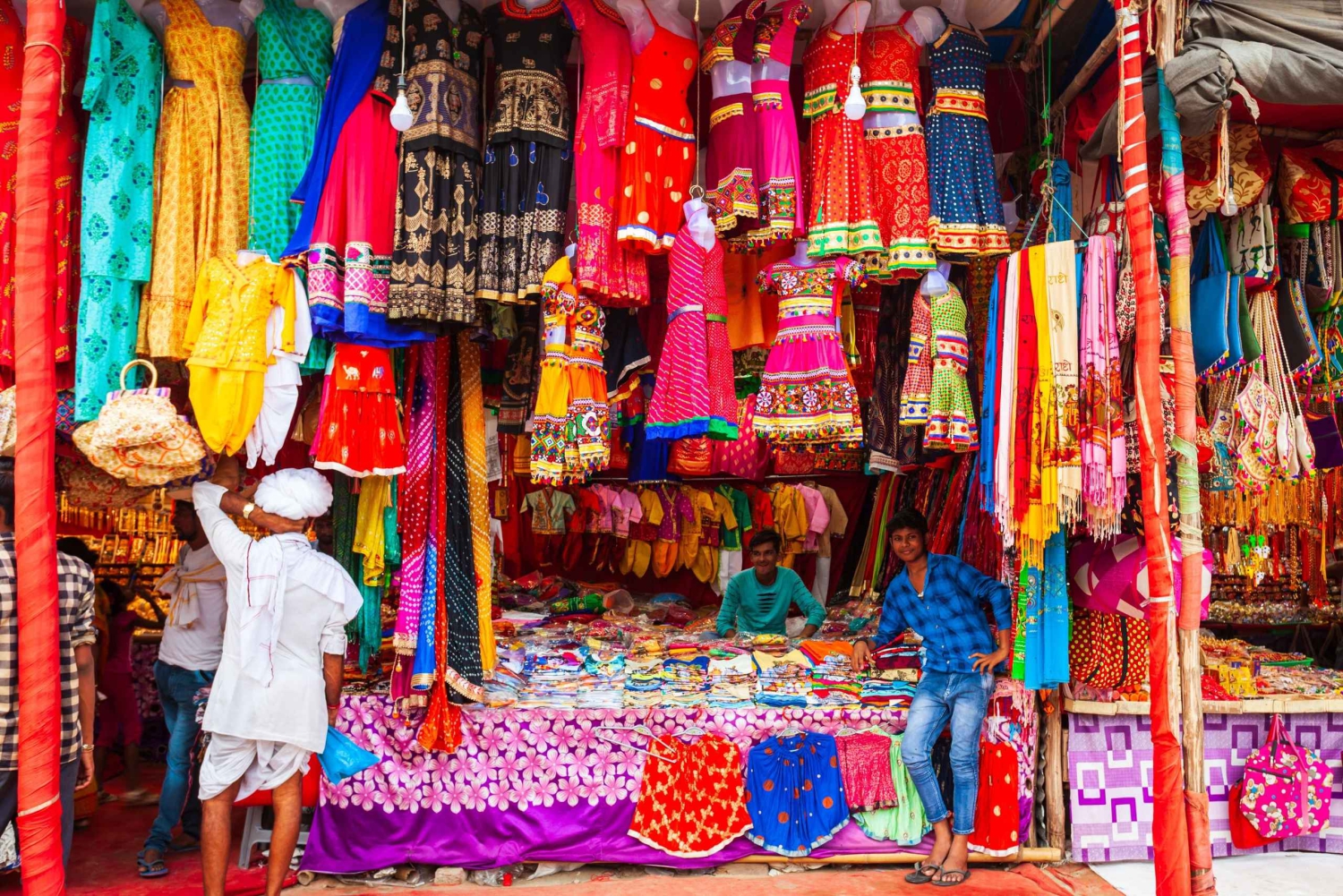 Delhi : Old & New Delhi visite guidée privée d'une journée ou d'une demi-journée