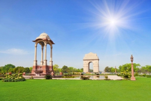 Delhi: Old & New Delhi Private Full- or Half-Day Guided Tour