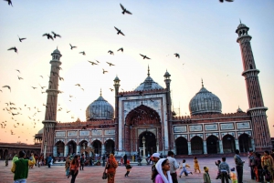 Delhi: Old & New Delhi Private Full- or Half-Day Guided Tour