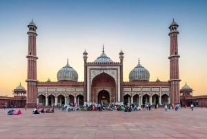 Delhi: Alt- und Neu-Delhi Private Ganztagestour oder Halbtagestour mit Guide