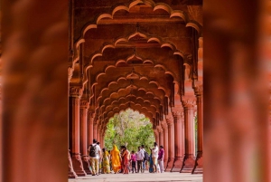 Дели: Частный тур по Старому и Нью-Дели на целый день или на полдня