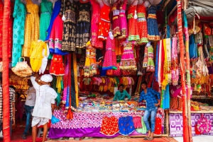 Delhi: Old & New Delhi Private Full or Half-Day Guided Tour