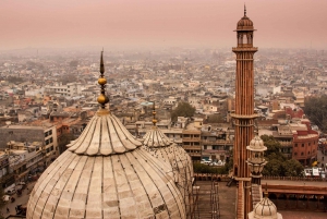 Delhi: Old & New Delhi Private Full or Half-Day Guided Tour