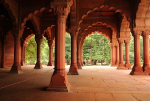 Delhi: Old & New Delhi Private Full or Half-Day Guided Tour
