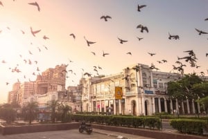 Delhi: Old & New Delhi Private Full or Half-Day Guided Tour