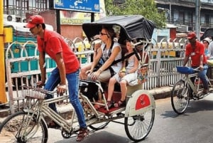 Delhi: Alt- und Neu-Delhi Private geführte Ganz- oder Halbtagestour