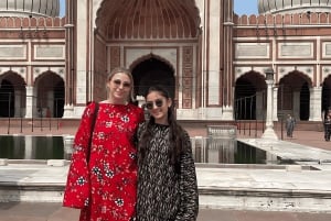 Дели: частная экскурсия по Старому и Новому Дели с различными вариантами