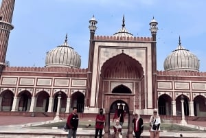 Дели: частная экскурсия по Старому и Новому Дели с различными вариантами