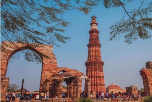 Delhi: wycieczka prywatna po starym i nowym Delhi, całodniowa lub wycieczka półdniowa, samochodem