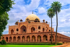 Delhi: Old eller New Delhi Privat sightseeing 4 till 8 timmar