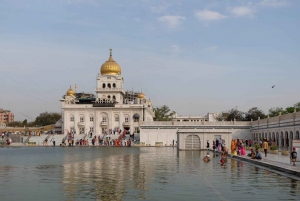 Delhi: tour panoramico privato della vecchia o della nuova Delhi da 4 a 8 ore