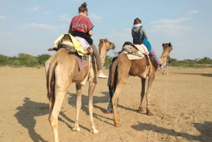 Delhi : visite touristique d'une journée