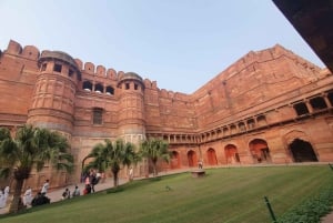 Delhi: Photography Taj Mahal Tour with Boat Ride & Transfers