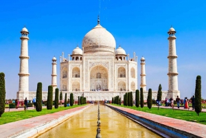 Delhi: Privat 5-dagars Golden Triangle-turné med tigersafari