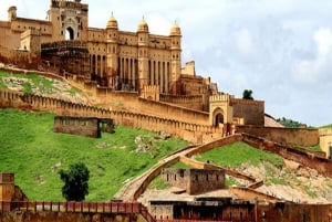 Delhi Agra Jaipur Gouden Driehoek Meerdaagse Tour met Safari