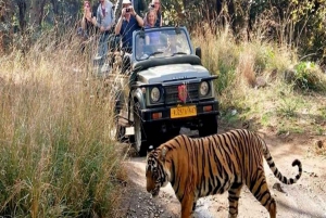 Delhi Agra Jaipur Gouden Driehoek Meerdaagse Tour met Safari