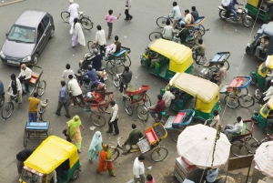 Délhi: excursão particular a Chandni Chowk, degustação de alimentos e Tuk-Tuk