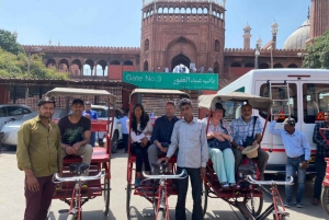 Délhi: excursão particular a Chandni Chowk, degustação de alimentos e Tuk-Tuk