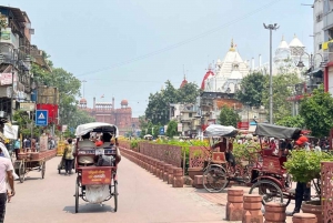 Delhi: Privat tur til Chandni Chowk, matprøvesmaking og Tuk-Tuk