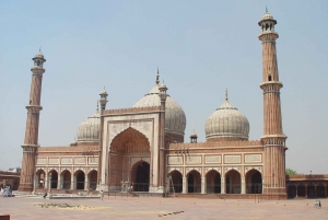 Delhi: Privat Chandni Chowk, matprovning och Tuk-Tuk-tur