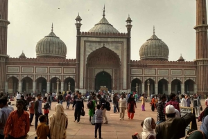 Delhi: Privat byrundtur