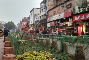 Delhi : visite privée de la ville