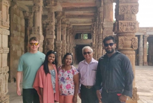 Delhi: privédagtocht naar oud en nieuw Delhi
