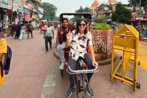 Delhi: tour turístico espiritual privado en coche por Delhi