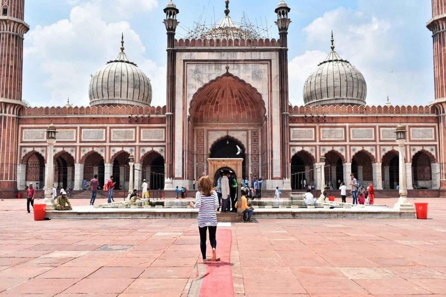 Delhi: Guidet hel- eller halvdagstur i gamle og nye Delhi