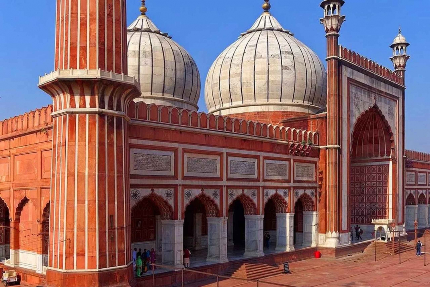 Delhi: tour privato di un giorno intero in auto per la visita della città