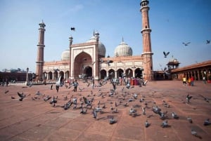 Delhi: Guidet hel- eller halvdagstur i gamle og nye Delhi