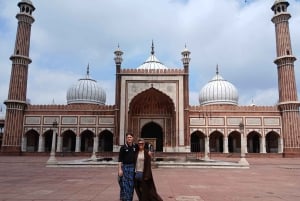 Delhi: privétour van een dag door het oude en nieuwe Delhi