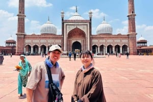 Delhi: privé dagtour door Oud en Nieuw Delhi