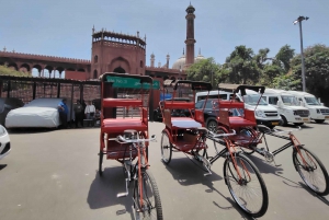 Private Full Day New & Old Delhi City Tour with Local Guide