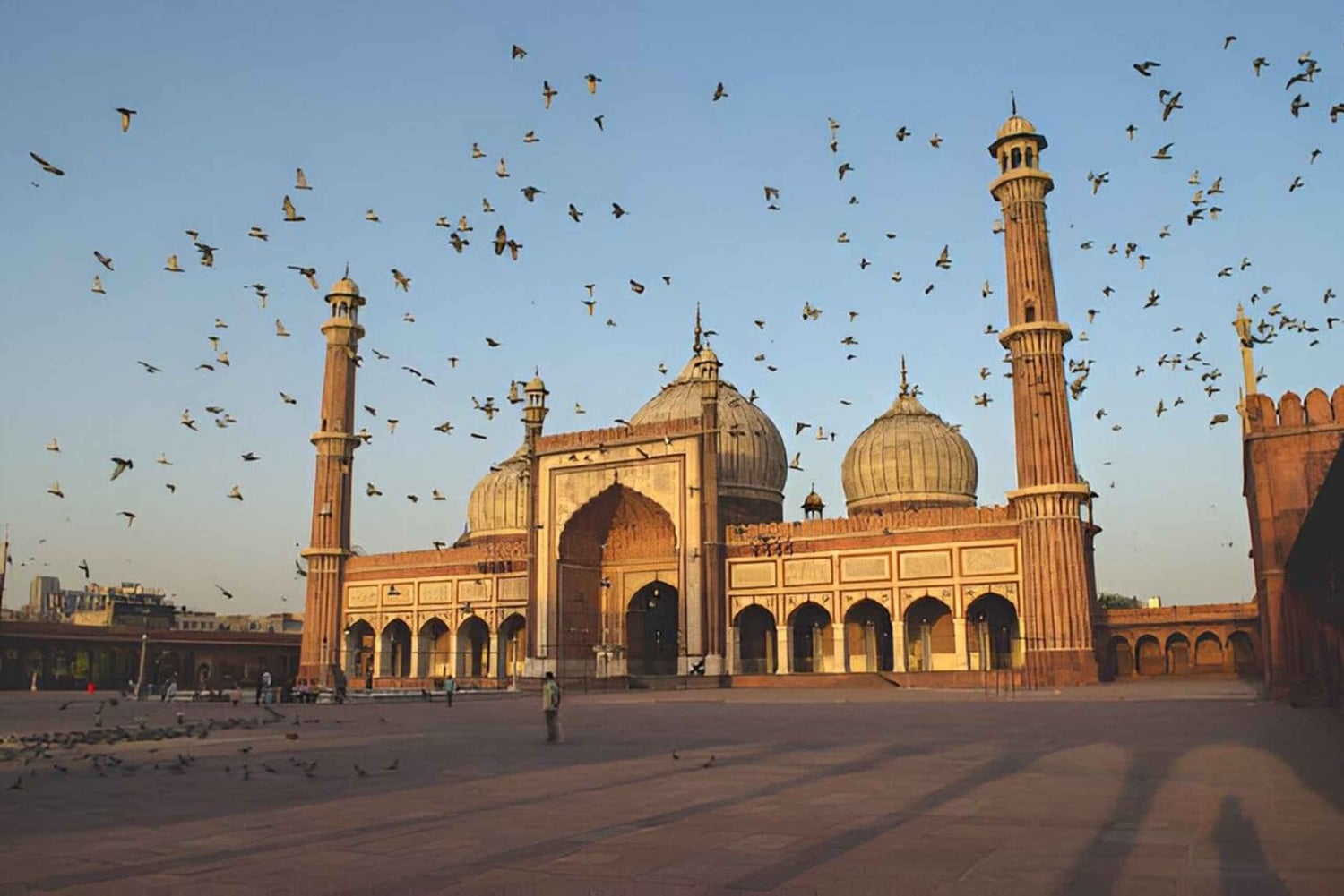 Delhi: Privat dagsutflykt till gamla och nya Delhi