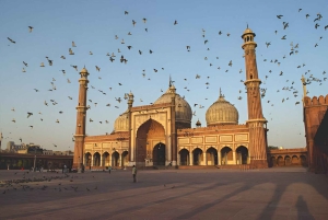 Delhi: Privat dagsutflykt till gamla och nya Delhi