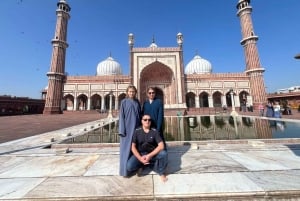 Delhi: Privat dagsutflykt till gamla och nya Delhi