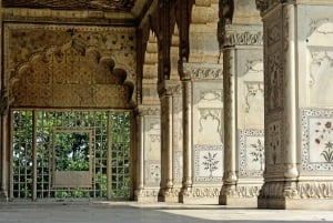 Delhi: Privat dagstur i Old og New Delhi