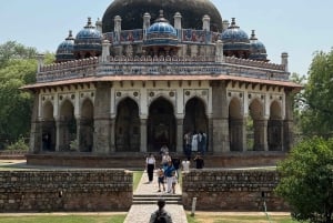 Privat heldags- eller halvdags tur i gamle og nye Delhi