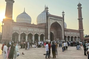 Privat heldags- eller halvdags tur i gamle og nye Delhi