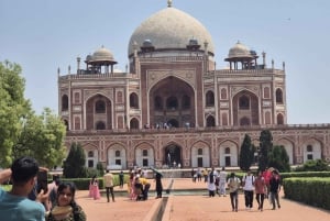 Delhi: tour privato di un giorno o di mezza giornata della Vecchia e Nuova Delhi