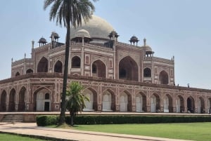 Delhi: tour privato di un giorno o di mezza giornata della Vecchia e Nuova Delhi