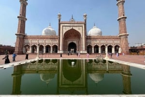 Delhi: Privat tur på en hel eller en halv dag i det gamle og det nye Delhi